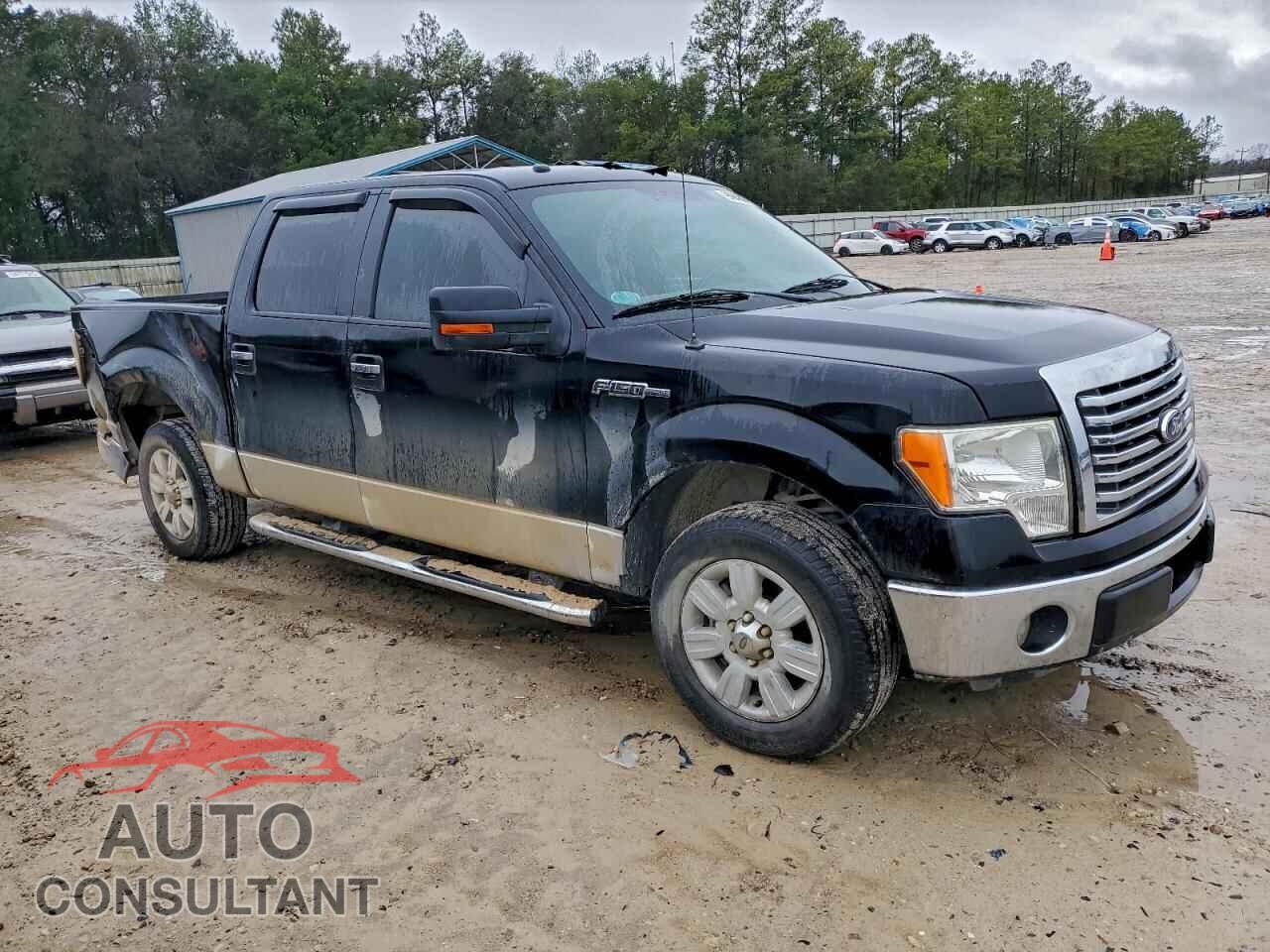 FORD F-150 2011 - 1FTEW1CM4BFC63388