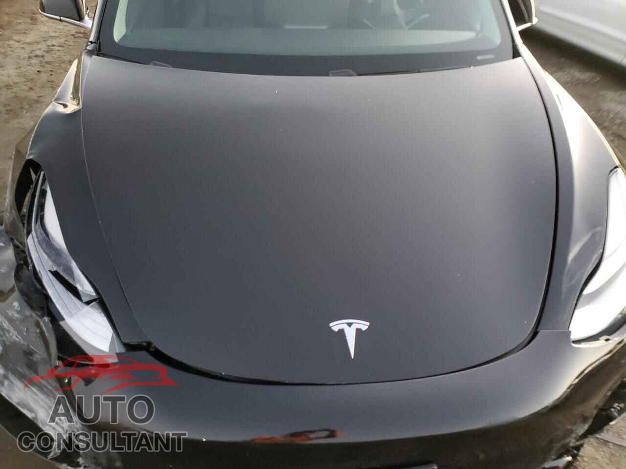 TESLA MODEL 3 2019 - 5YJ3E1EA5KF361900