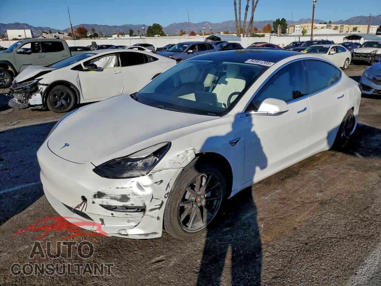 TESLA MODEL 3 2020 - 5YJ3E1EA2LF615550