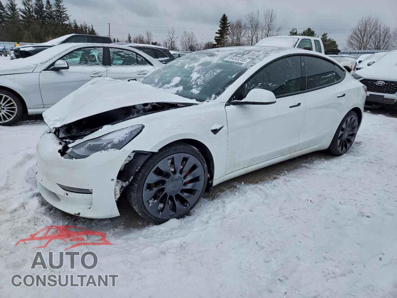 TESLA MODEL 3 2021 - 5YJ3E1EC7MF084591