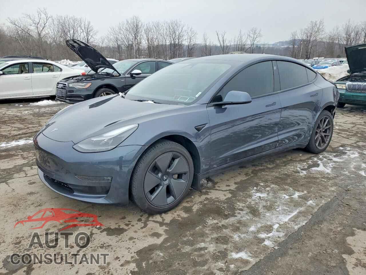 TESLA MODEL 3 2021 - 5YJ3E1EB5MF089196