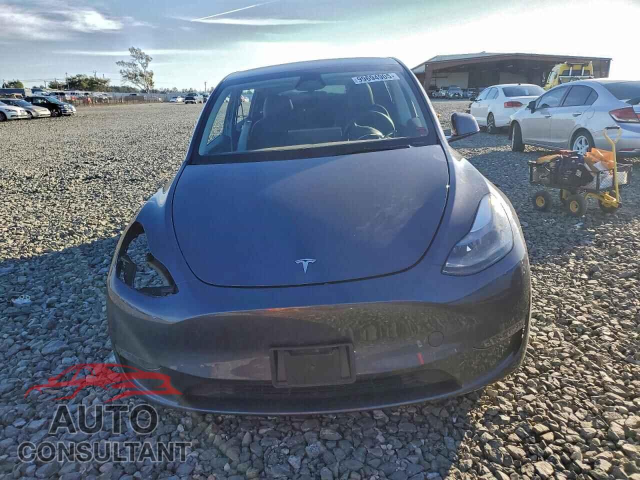 TESLA MODEL Y 2023 - 7SAYGDEE2PF881857