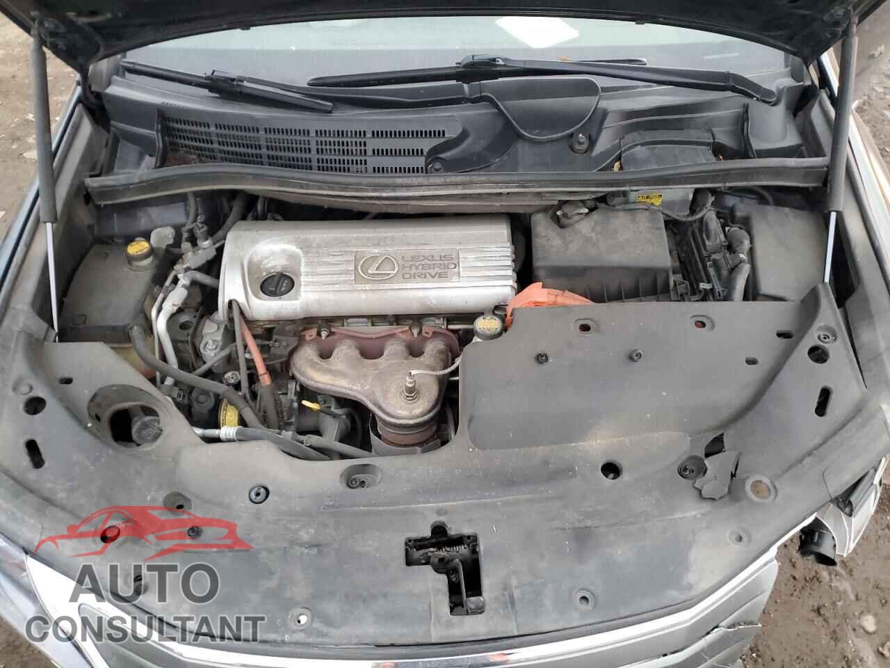 LEXUS HS 2010 - JTHBB1BA1A2022155