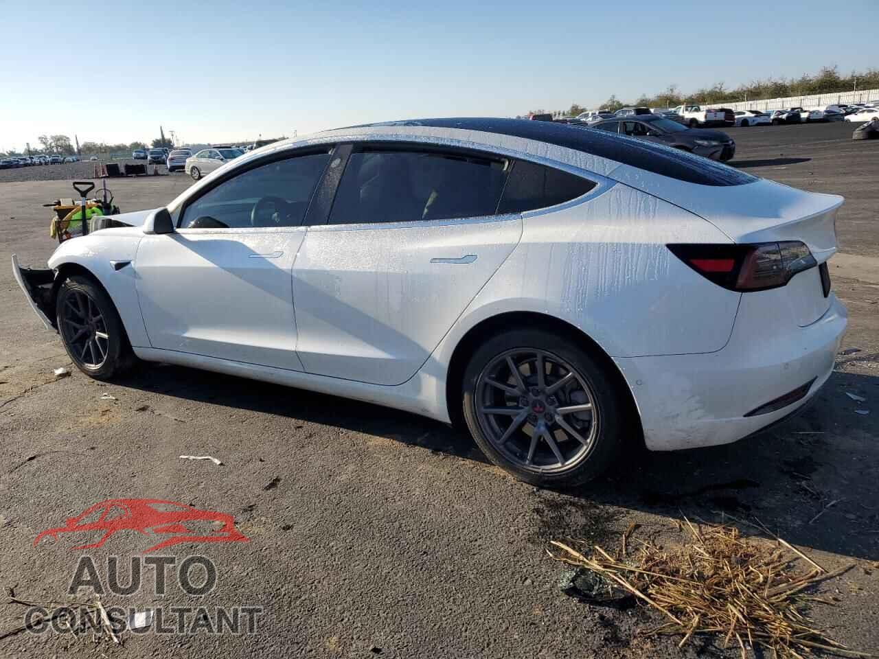TESLA MODEL 3 2019 - 5YJ3E1EA1KF397129