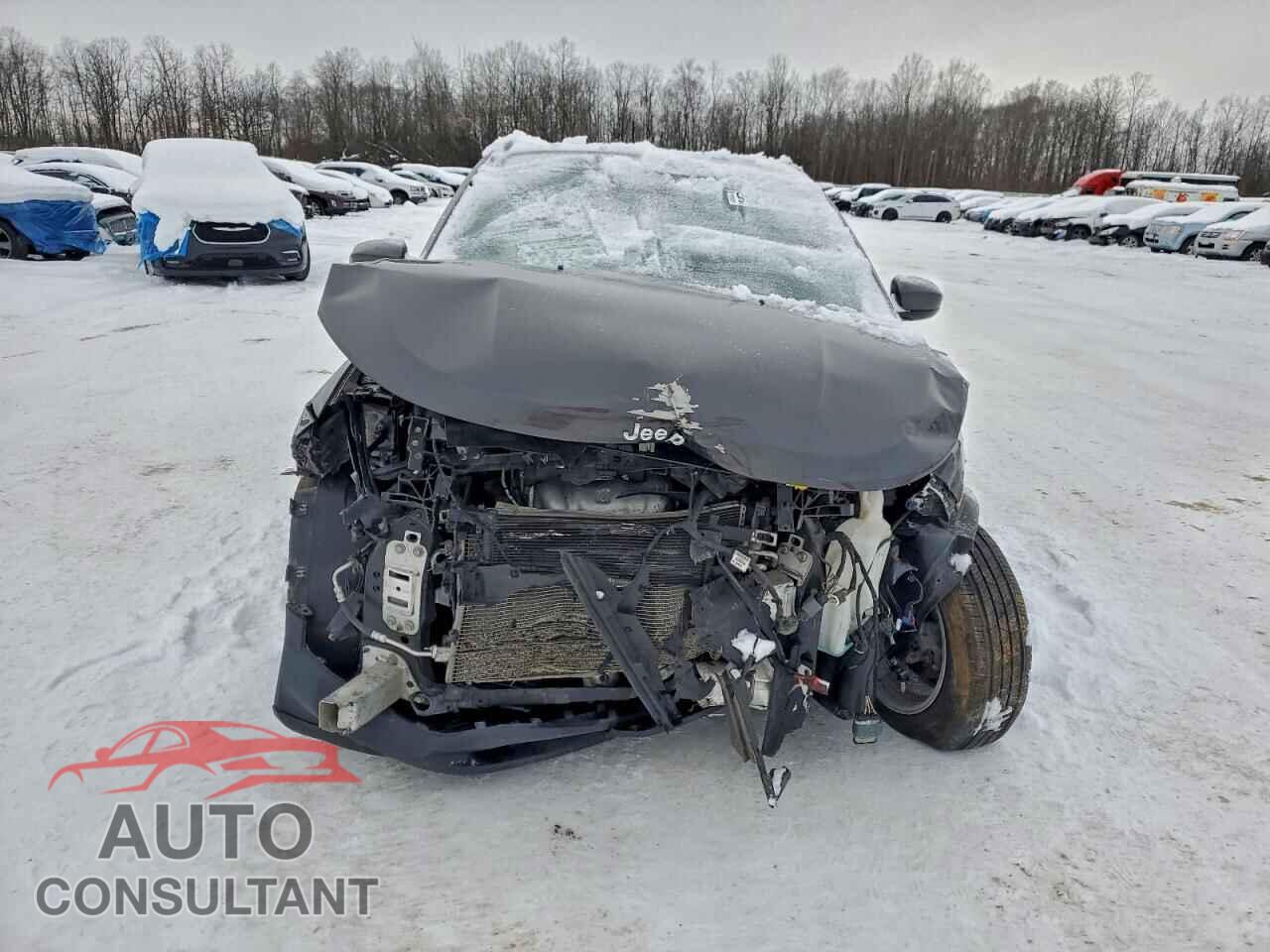 JEEP COMPASS 2019 - 3C4NJDBB2KT716333
