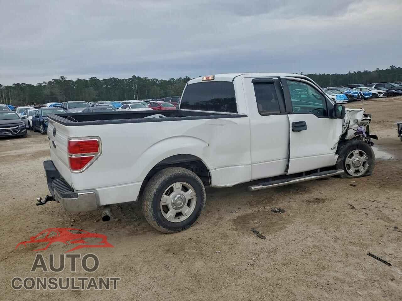FORD F-150 2013 - 1FTFX1CT6DFD04549