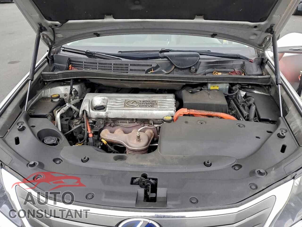 LEXUS HS 2010 - JTHBB1BA9A2037695