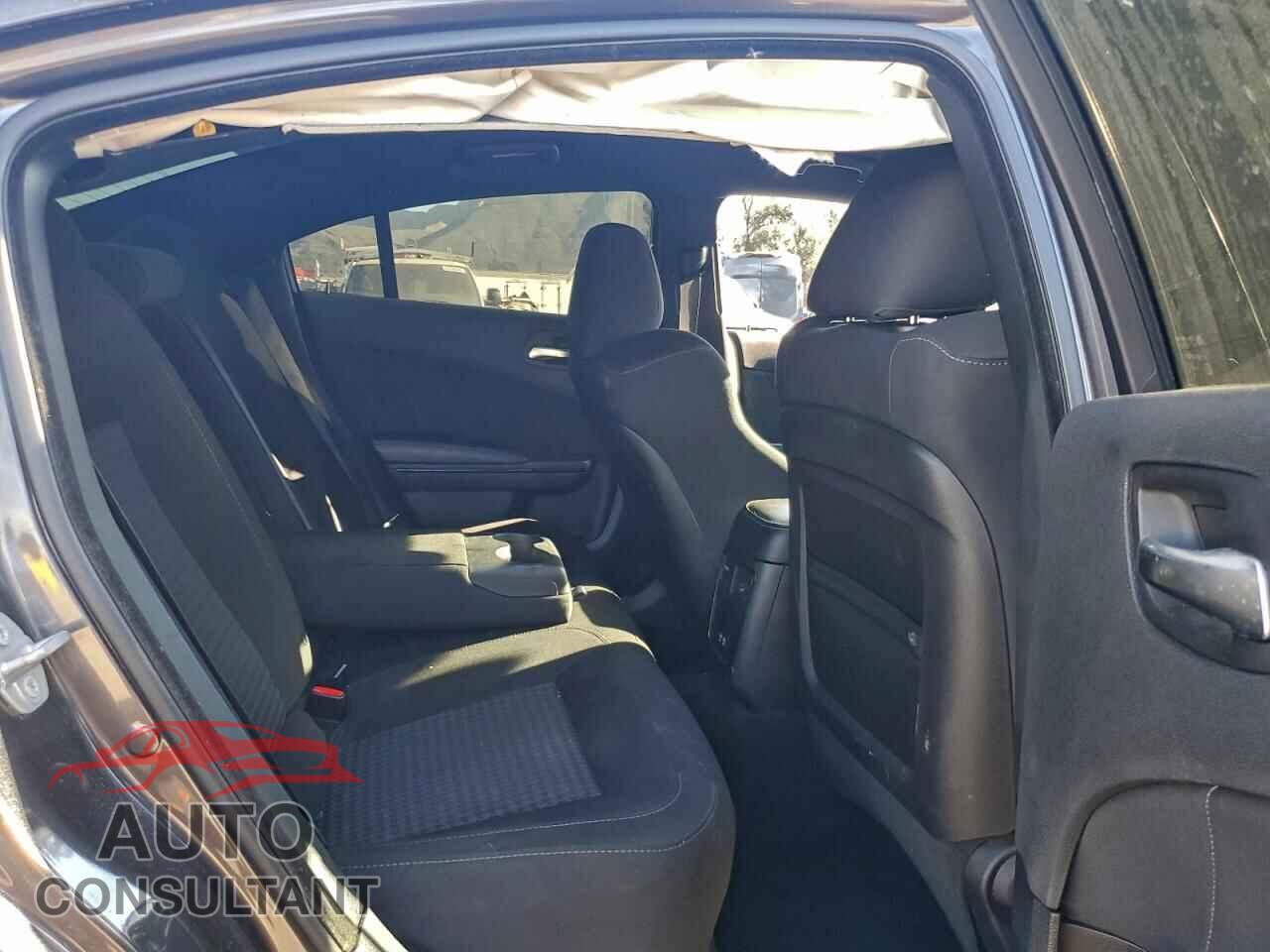 DODGE CHARGER 2019 - 2C3CDXCTXKH562250