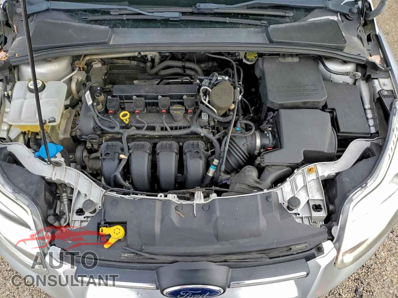 FORD FOCUS 2013 - 1FADP3K28DL325552