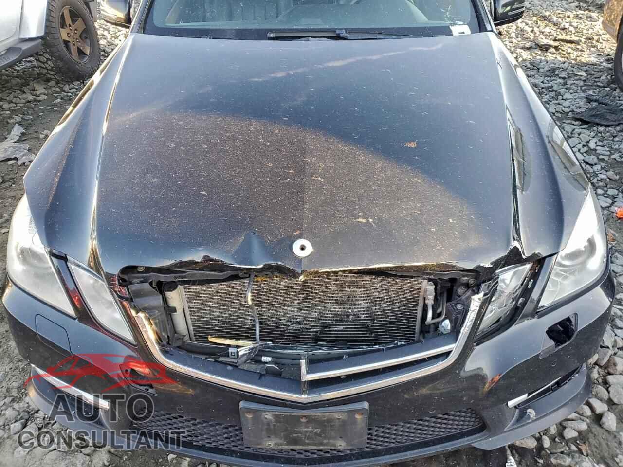 MERCEDES-BENZ E-CLASS 2013 - WDDHF9BB3DA742046
