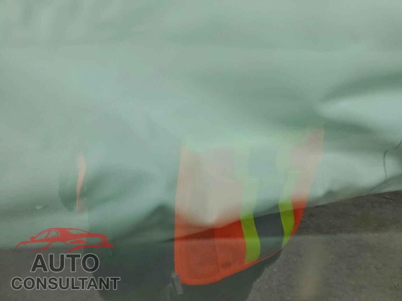 TESLA MODEL 3 2020 - 5YJ3E1EB4LF667674