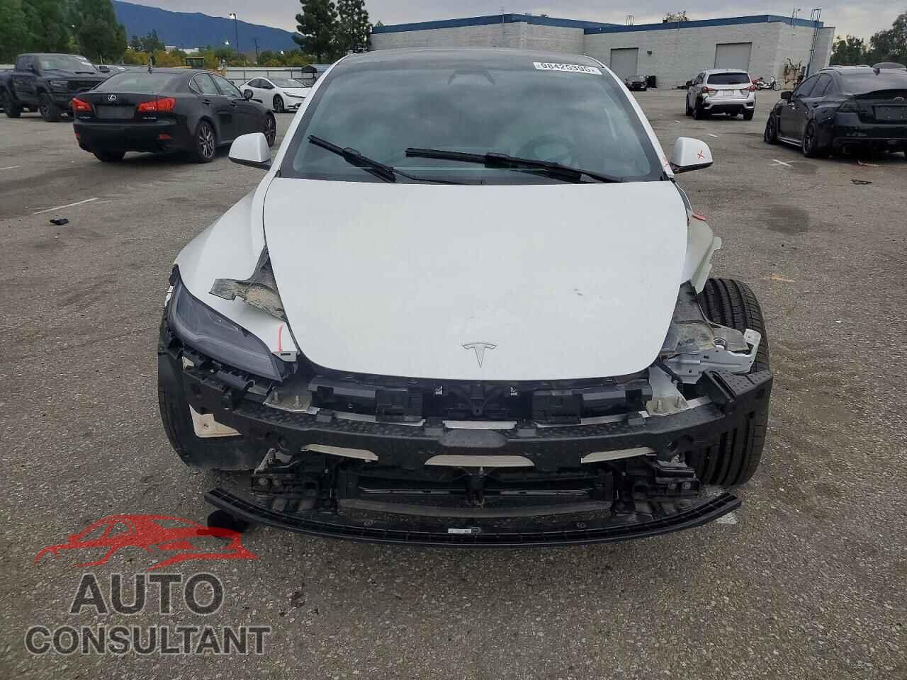 TESLA MODEL 3 2025 - 5YJ3E1EA1SF019313
