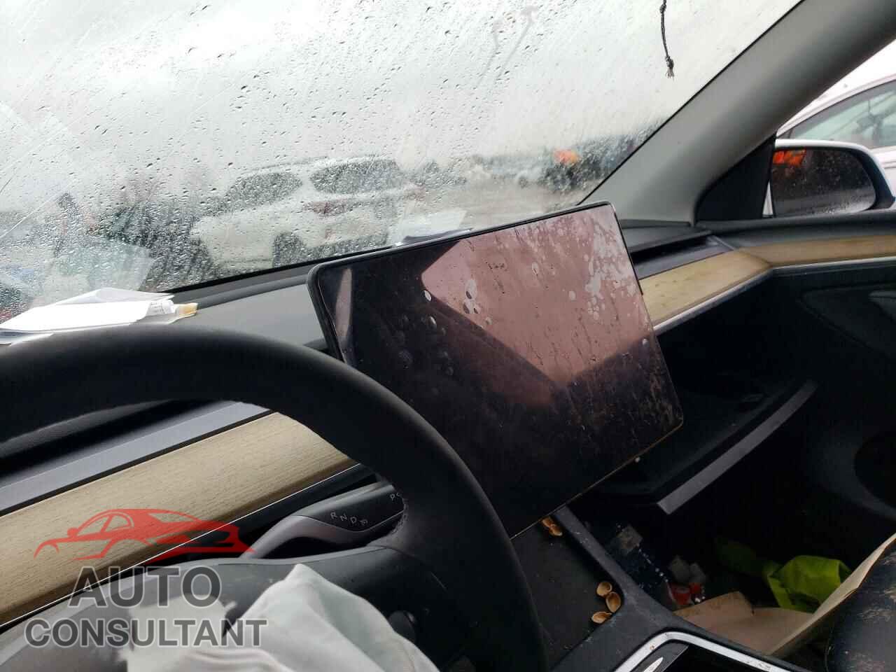 TESLA MODEL Y 2023 - LRWYGDFD0PC929997