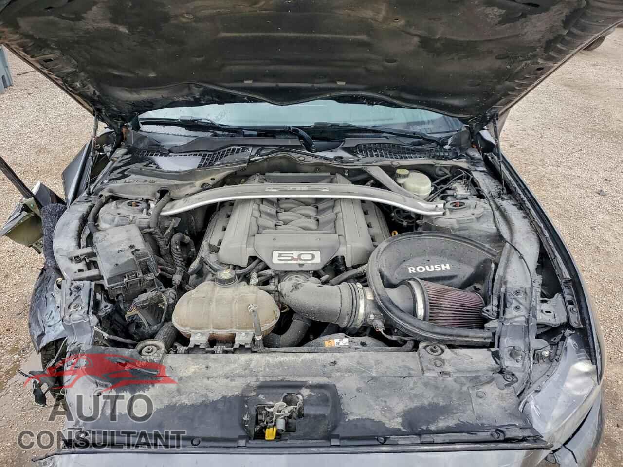 FORD MUSTANG 2017 - 1FA6P8CF2H5259582