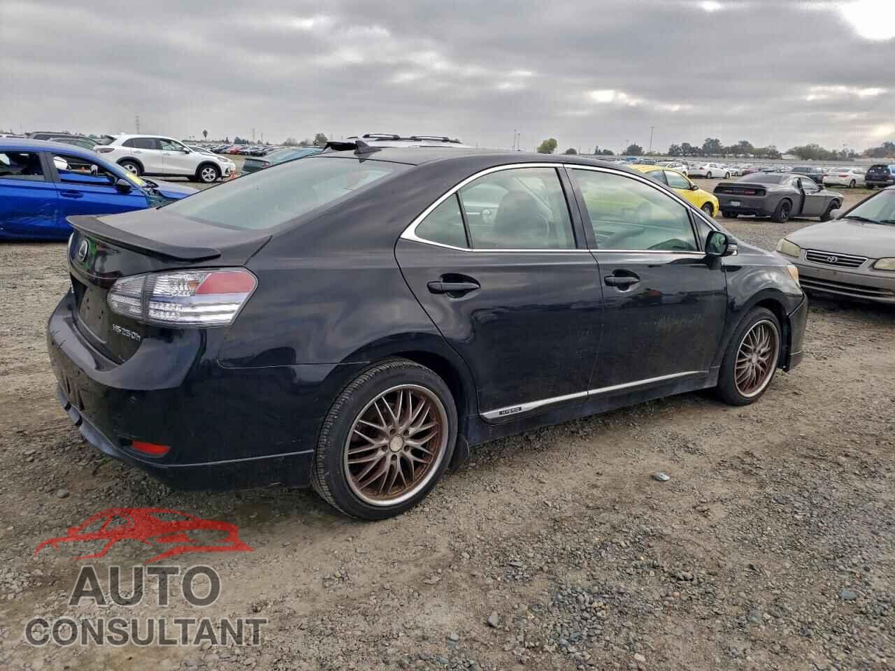 LEXUS HS 2010 - JTHBB1BA4A2003356