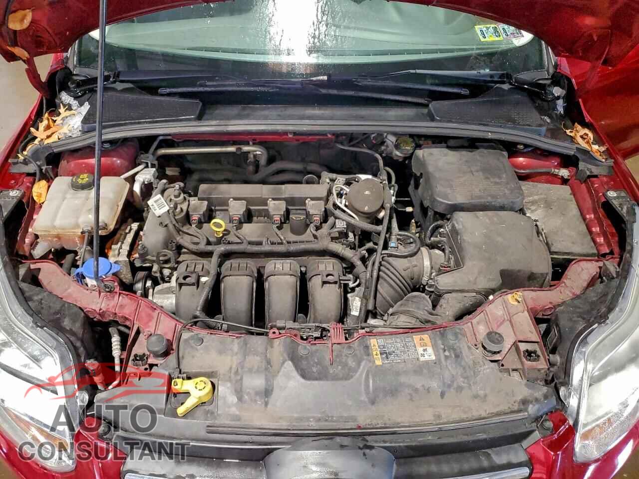 FORD FOCUS 2014 - 1FADP3F21EL411281