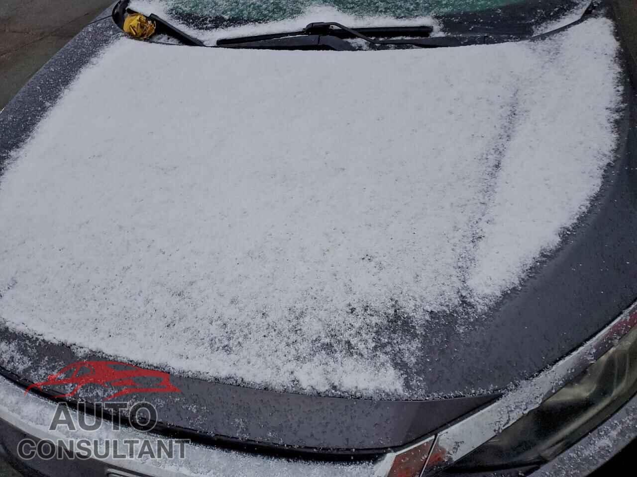 HONDA CIVIC 2016 - 19XFC2F77GE036349