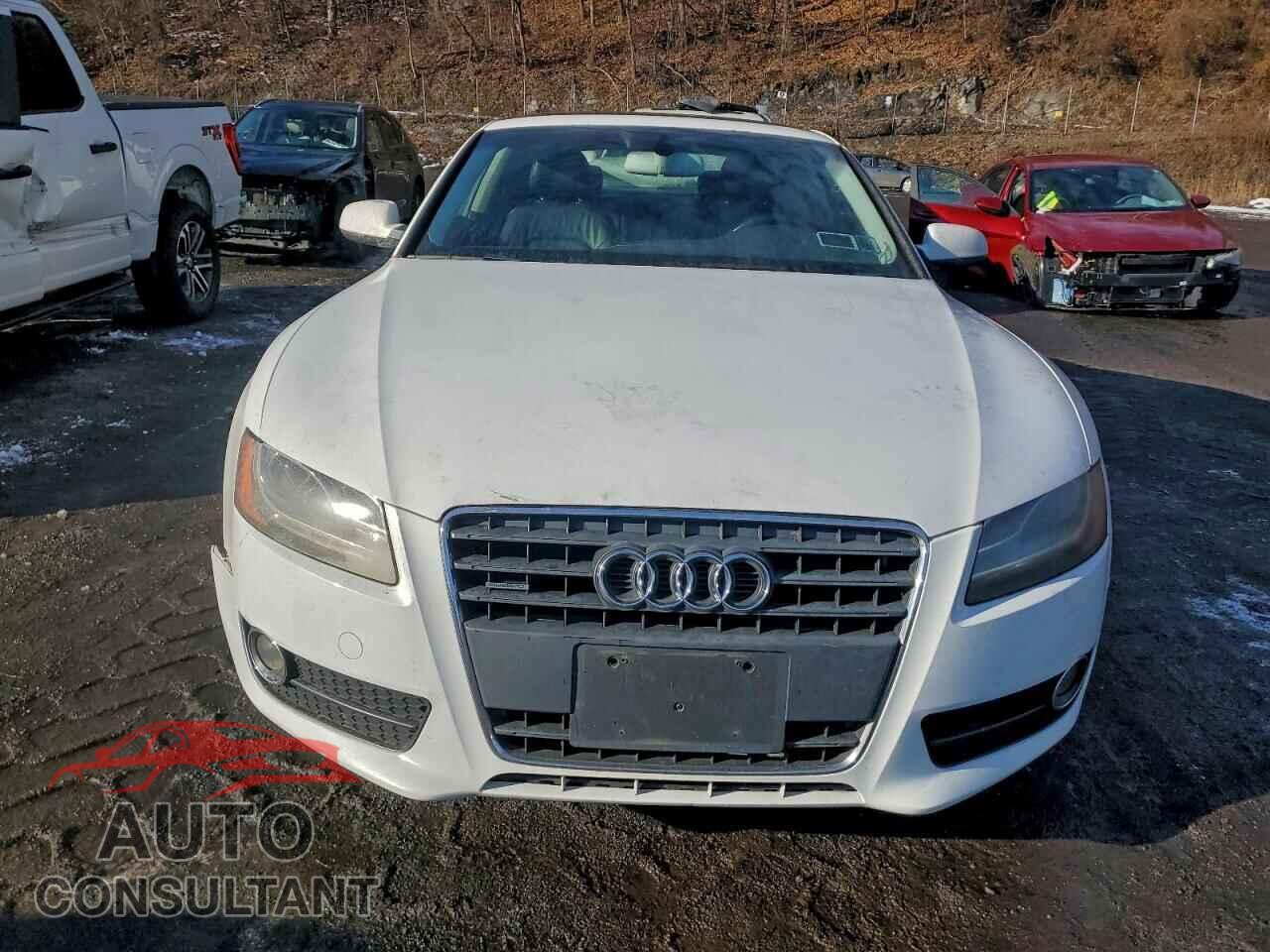 AUDI A5 2010 - WAULFAFR4AA000695