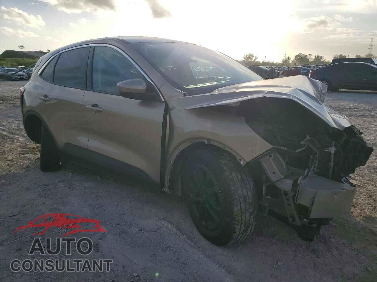 FORD ESCAPE 2020 - 1FMCU9G62LUA52190