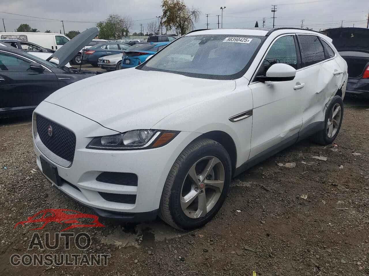 JAGUAR F-PACE 2019 - SADCJ2GX5KA396100