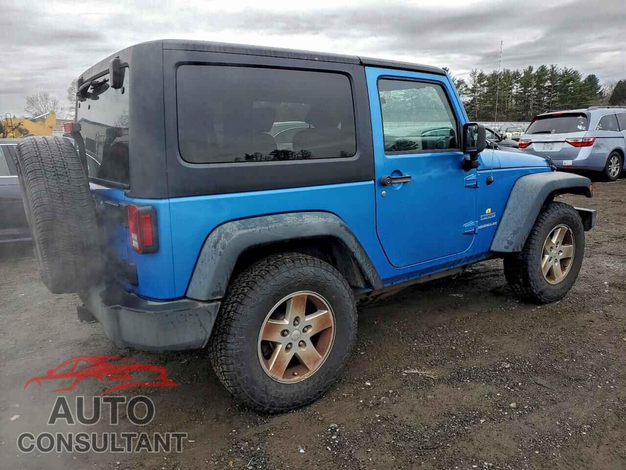 JEEP WRANGLER 2010 - 1J4AA2D14AL137002