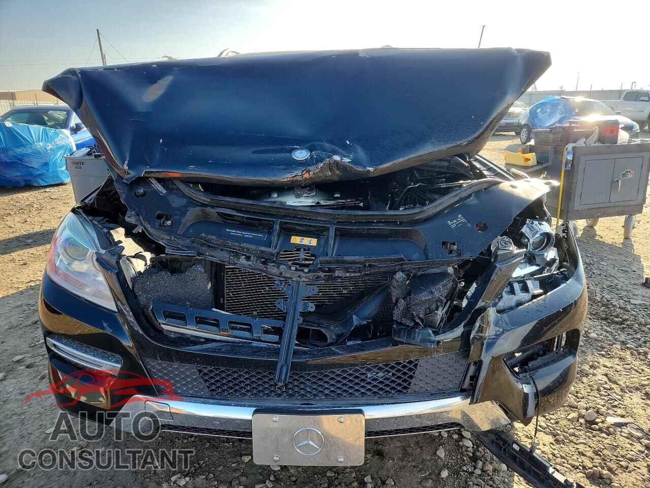 MERCEDES-BENZ M-CLASS 2014 - 4JGDA5HB2EA365827