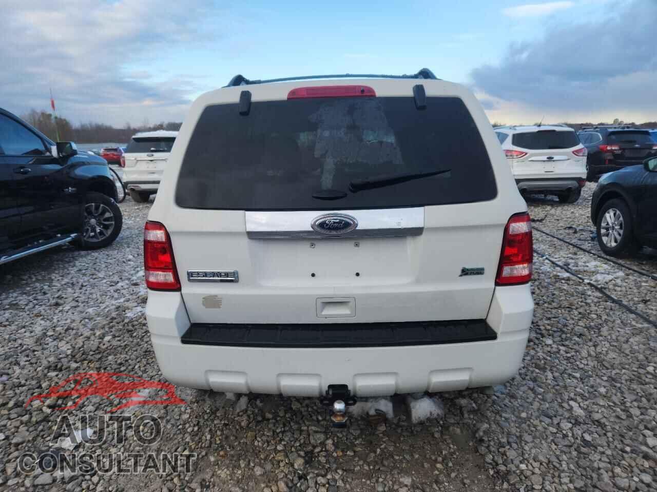 FORD ESCAPE 2011 - 1FMCU0EG2BKB19565