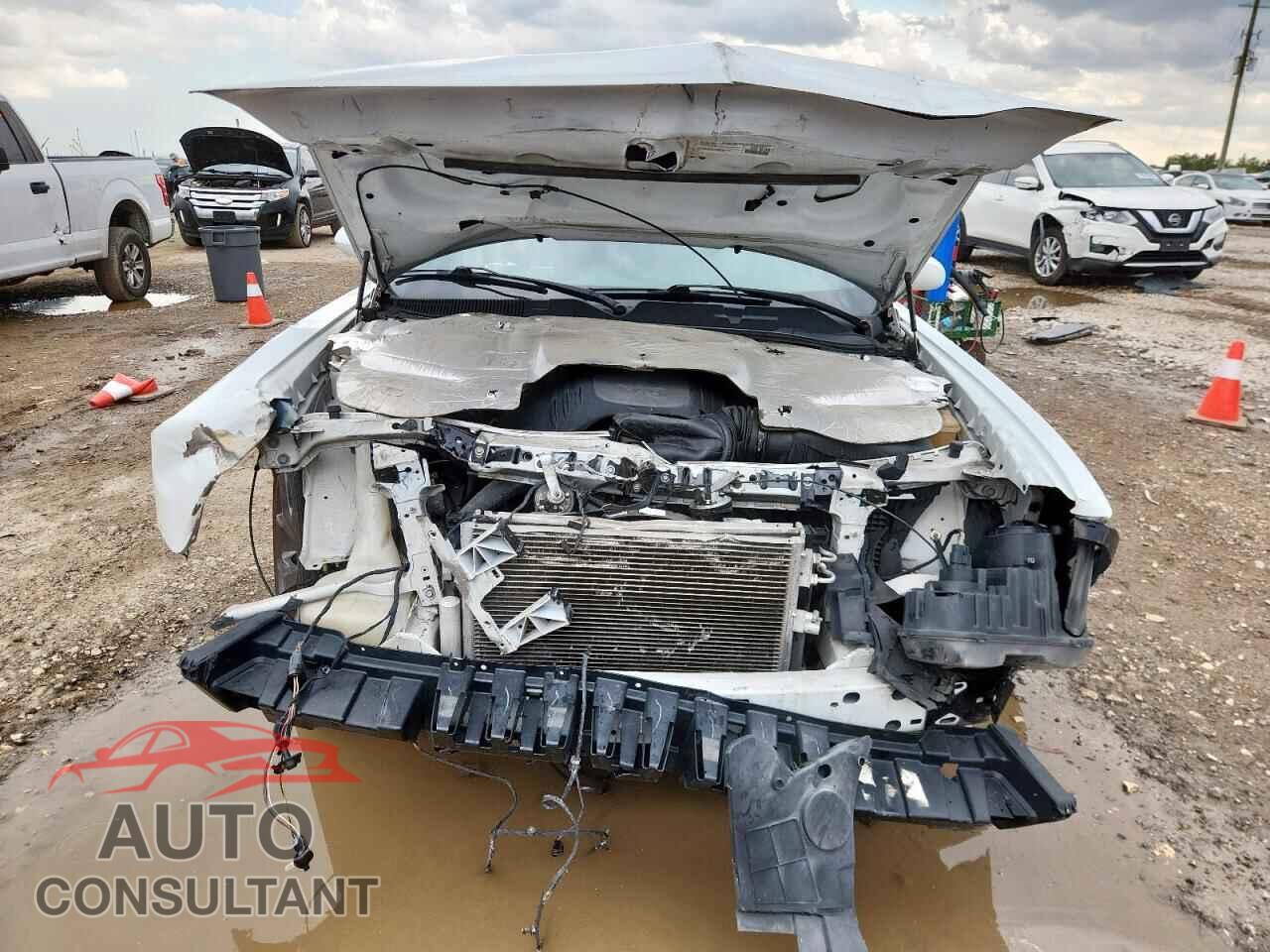 DODGE CHALLENGER 2019 - 2C3CDZBT8KH708562