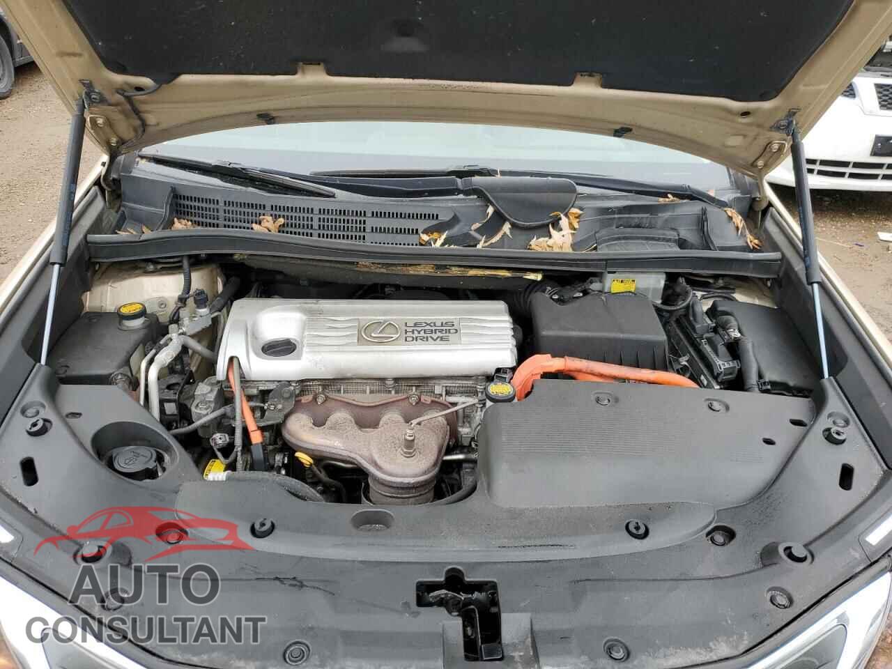 LEXUS HS 2010 - JTHBB1BA1A2002083