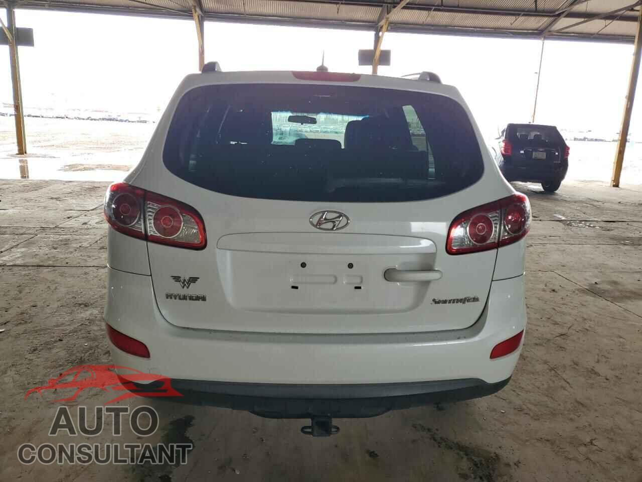 HYUNDAI SANTA FE 2010 - 5NMSG3AB3AH362931
