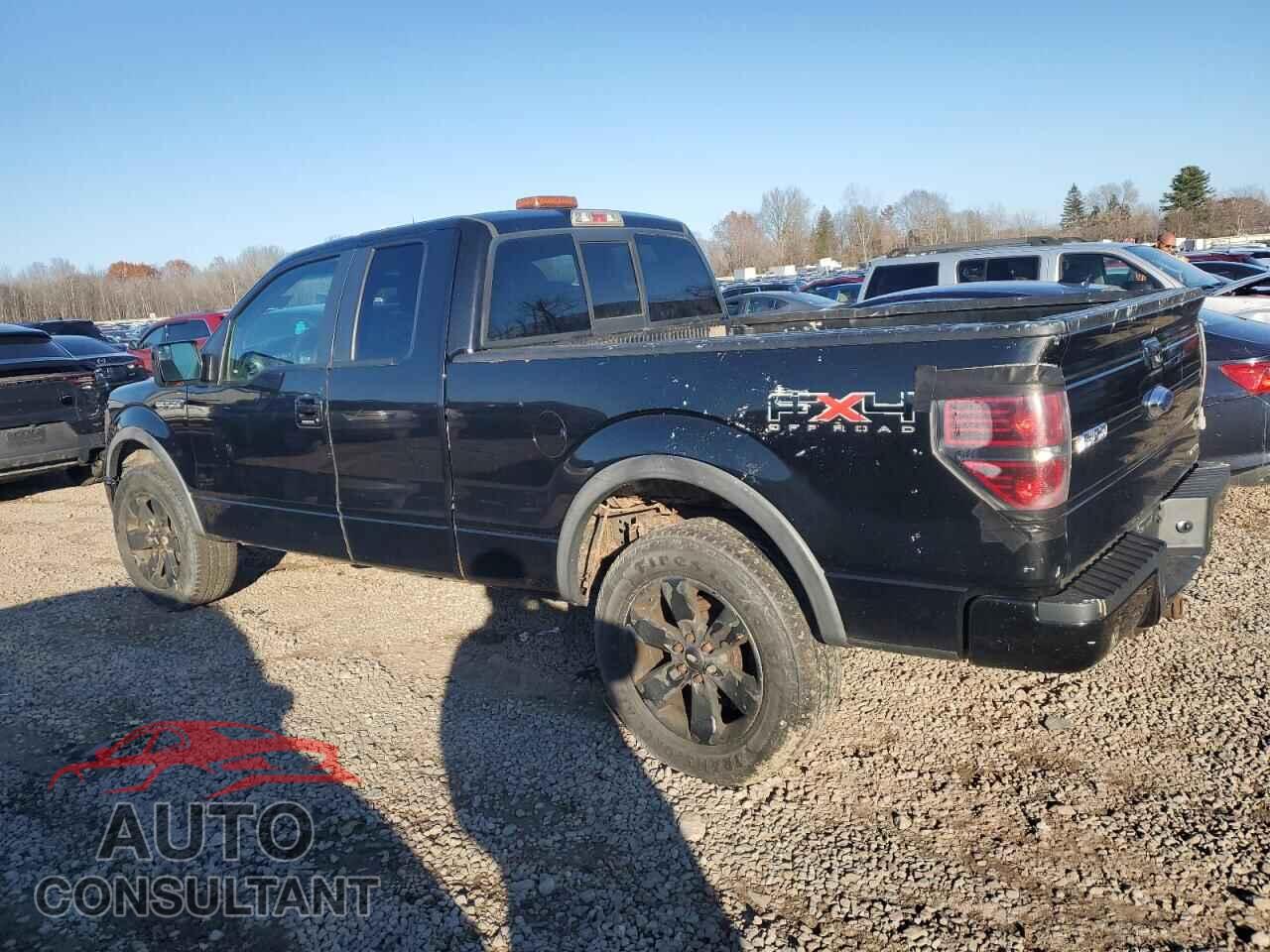 FORD F-150 2011 - 1FTFX1EF0BFA36862