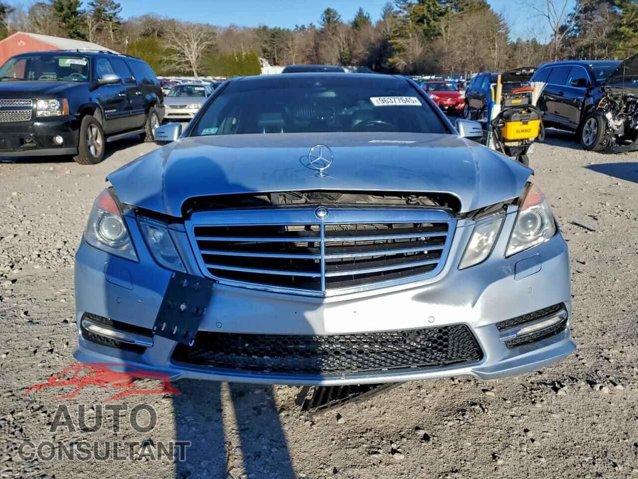 MERCEDES-BENZ E-CLASS 2013 - WDDHF9BB9DA673069