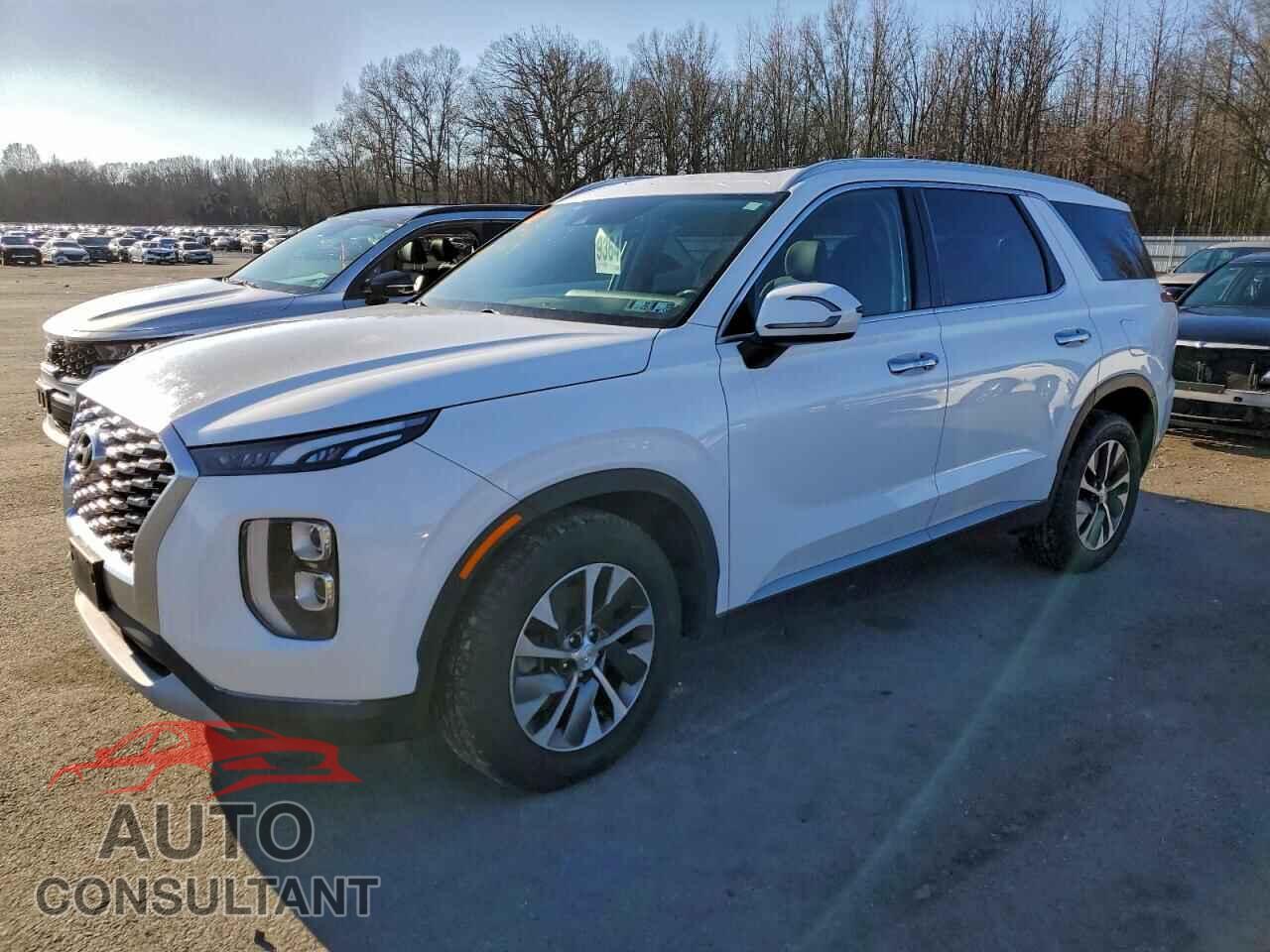 HYUNDAI PALISADE 2020 - KM8R2DHEXLU090131