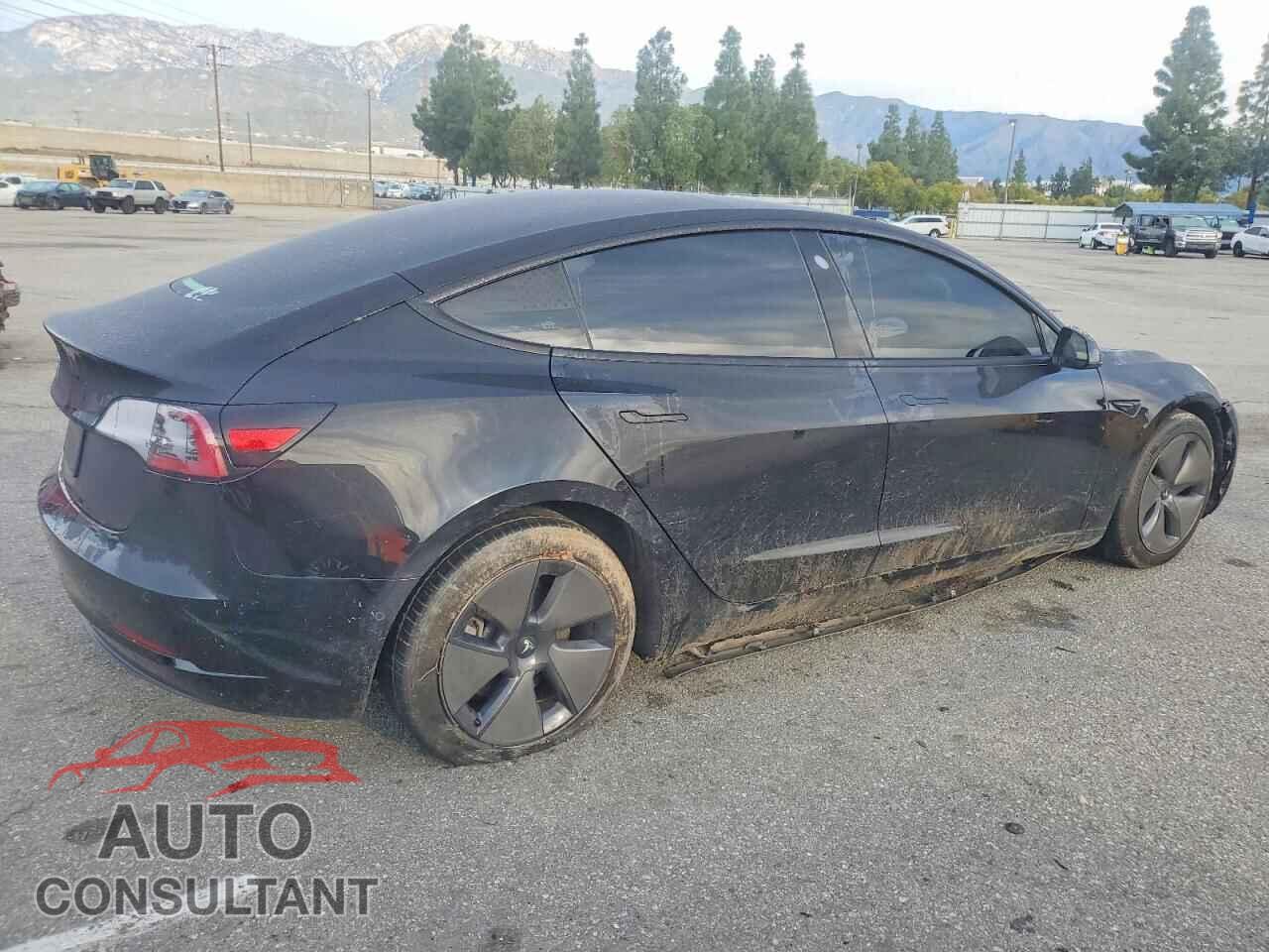 TESLA MODEL 3 2021 - 5YJ3E1EA3MF876459