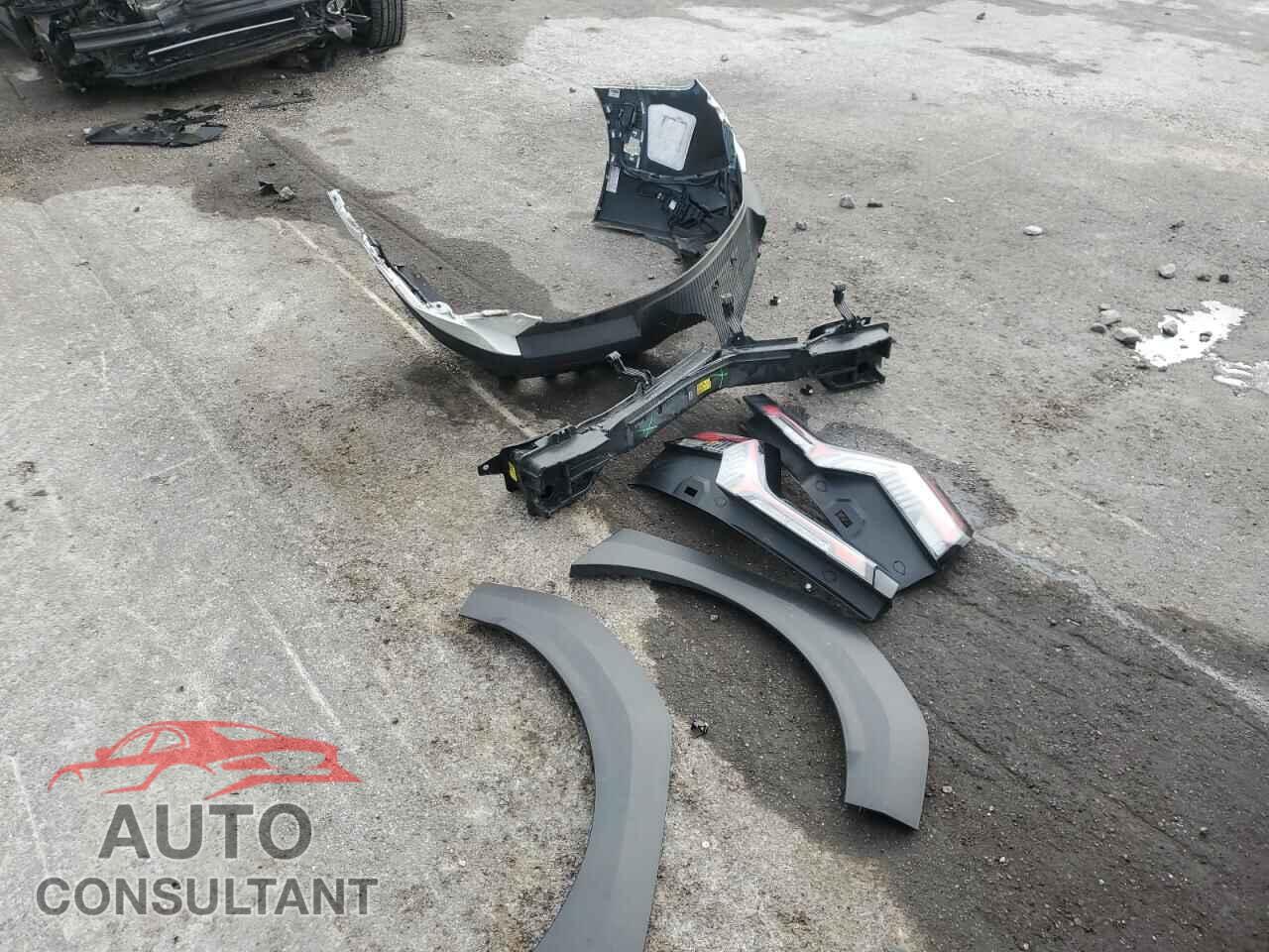 KIA EV9 LIGHT 2024 - KNDAB5S12R6029897