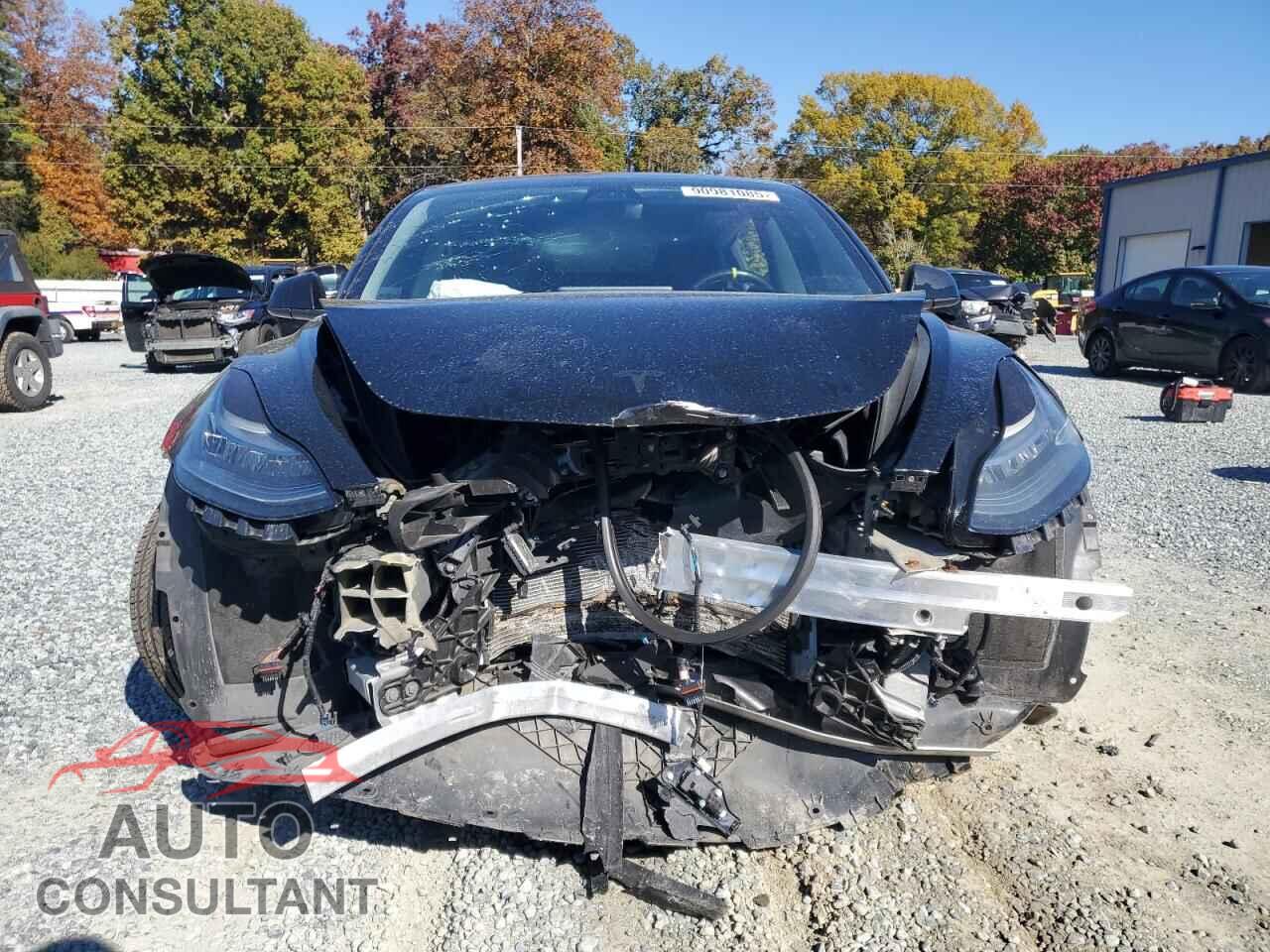 TESLA MODEL 3 2019 - 5YJ3E1EA2KF466524