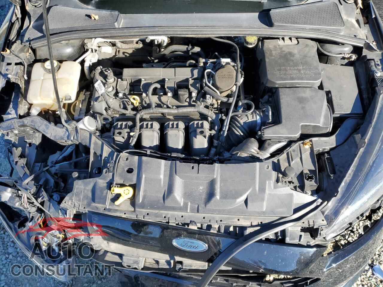 FORD FOCUS 2016 - 1FADP3J28GL273796