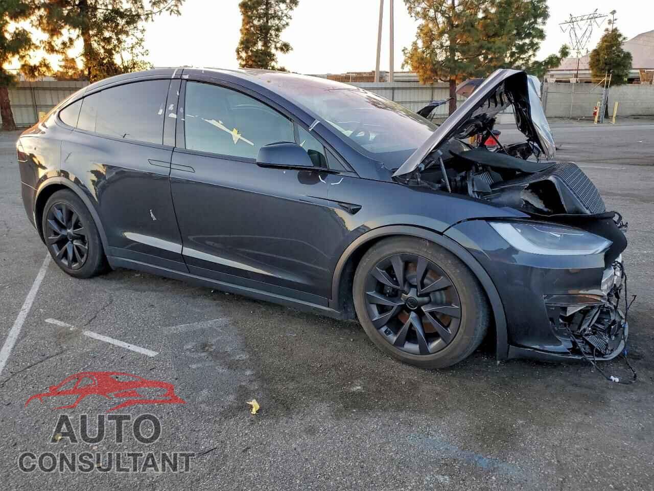 TESLA MODEL X 2024 - 7SAXCBE52RF444746
