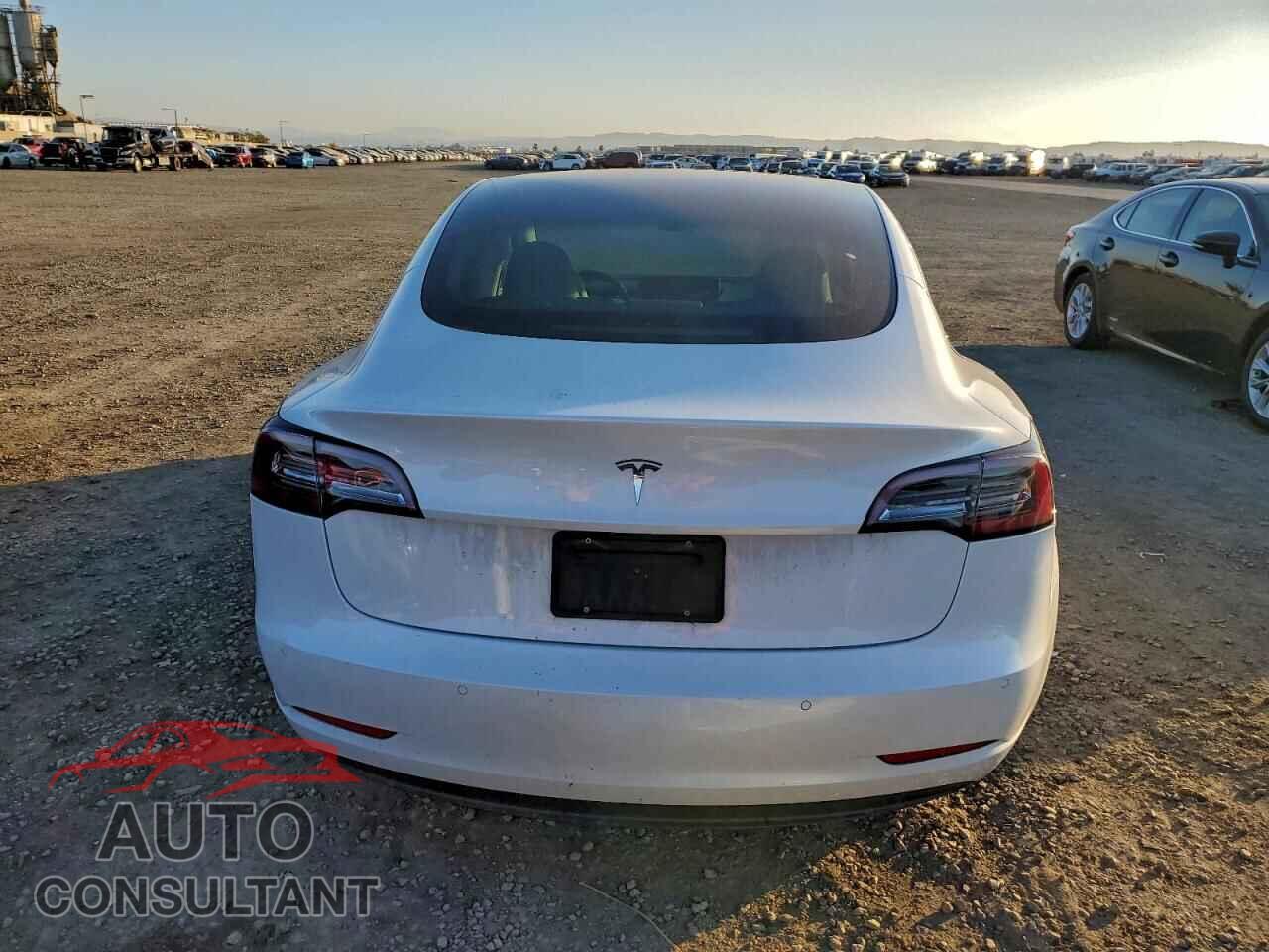 TESLA MODEL 3 2020 - 5YJ3E1EA2LF717706