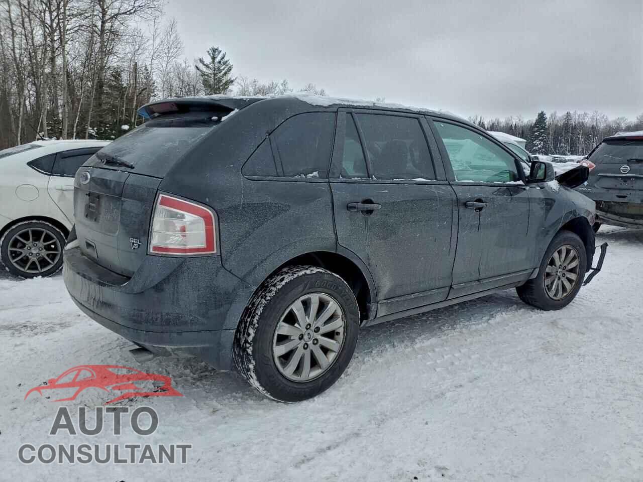 FORD EDGE 2009 - 2FMDK38C09BA70794
