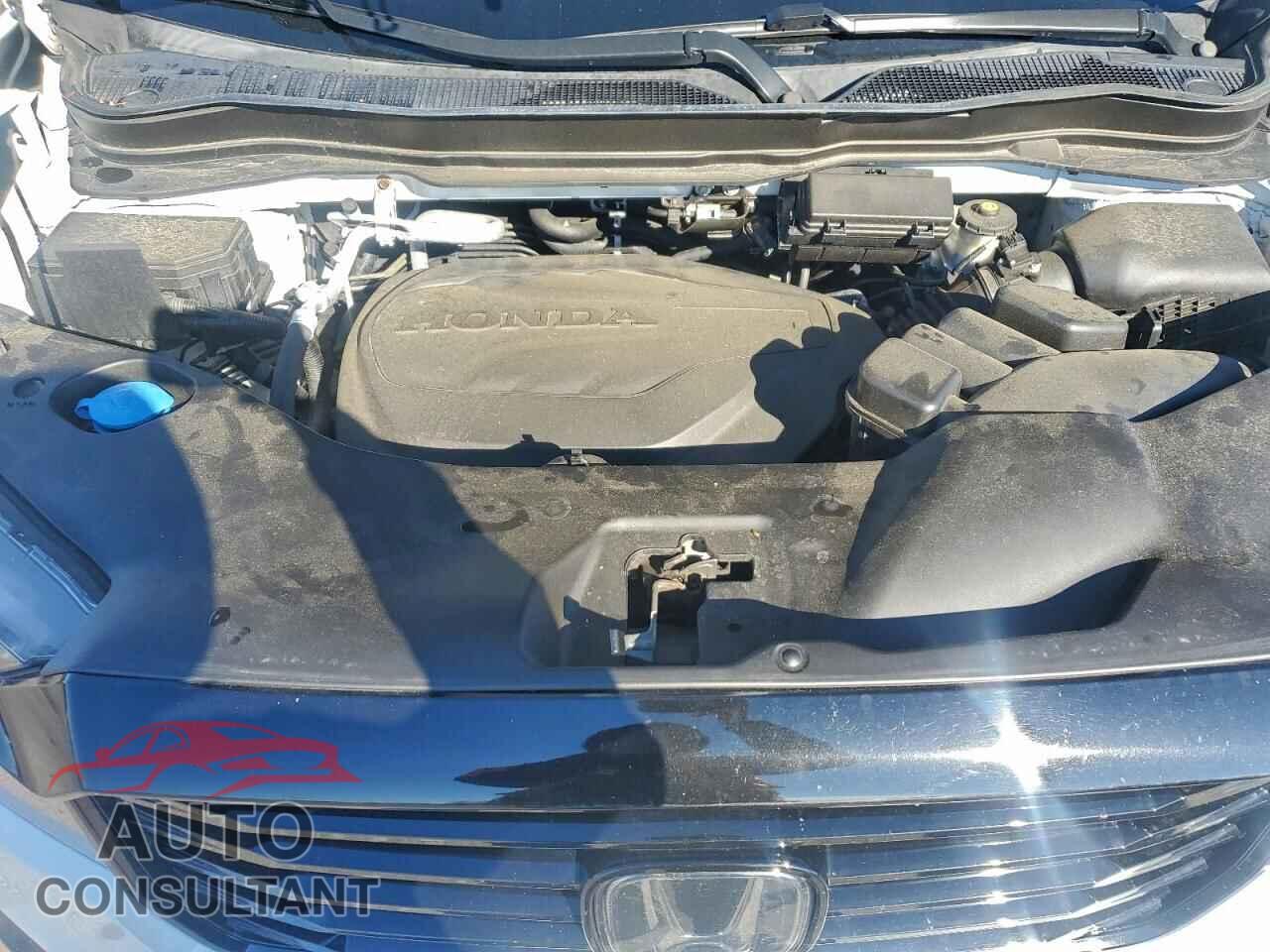 HONDA RIDGELINE 2021 - 5FPYK3F82MB006733