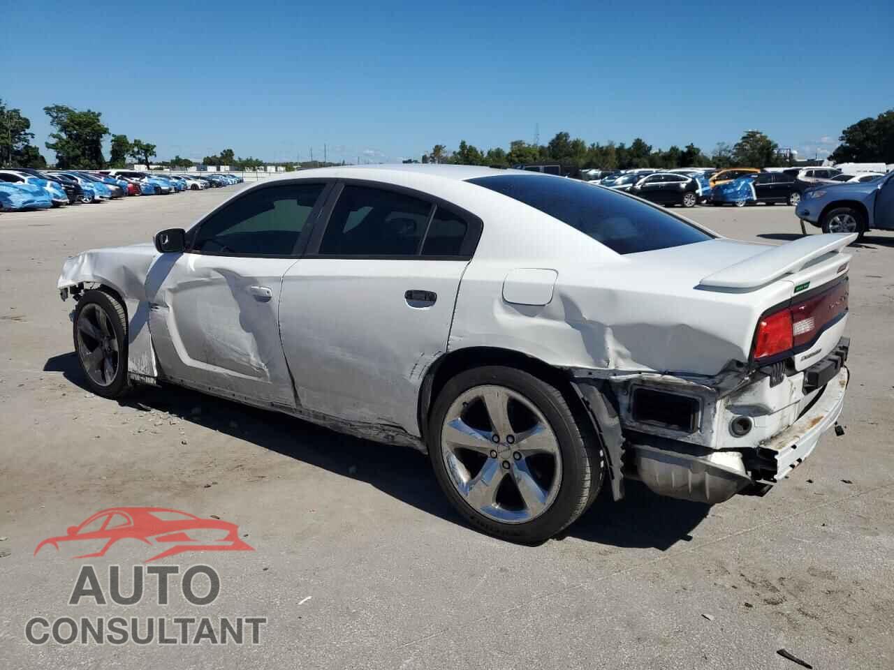 DODGE CHARGER 2014 - 2C3CDXHG9EH162809
