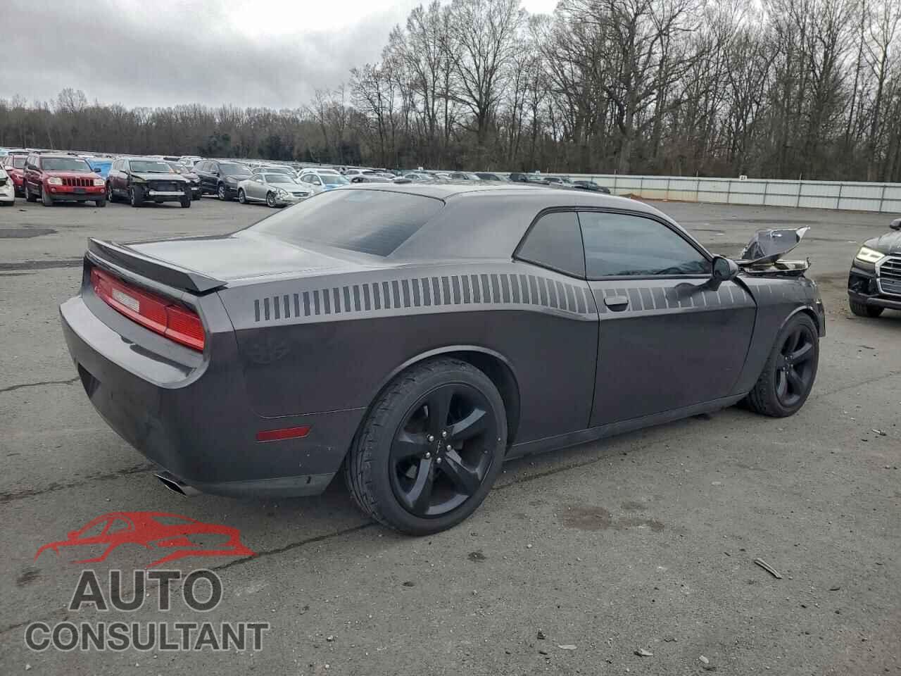 DODGE CHALLENGER 2014 - 2C3CDYBT5EH115191