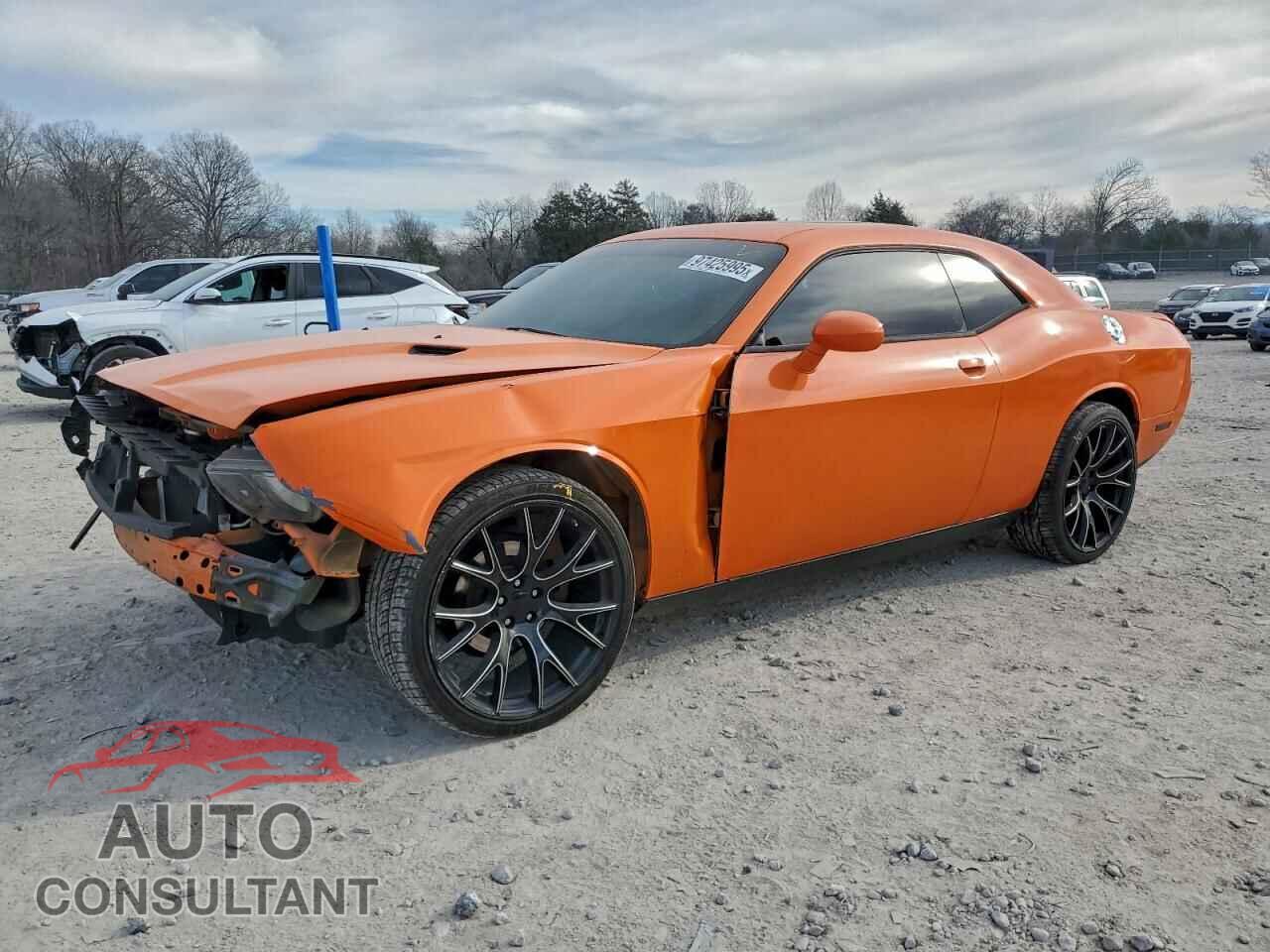 DODGE CHALLENGER 2014 - 2C3CDYAG8EH218495