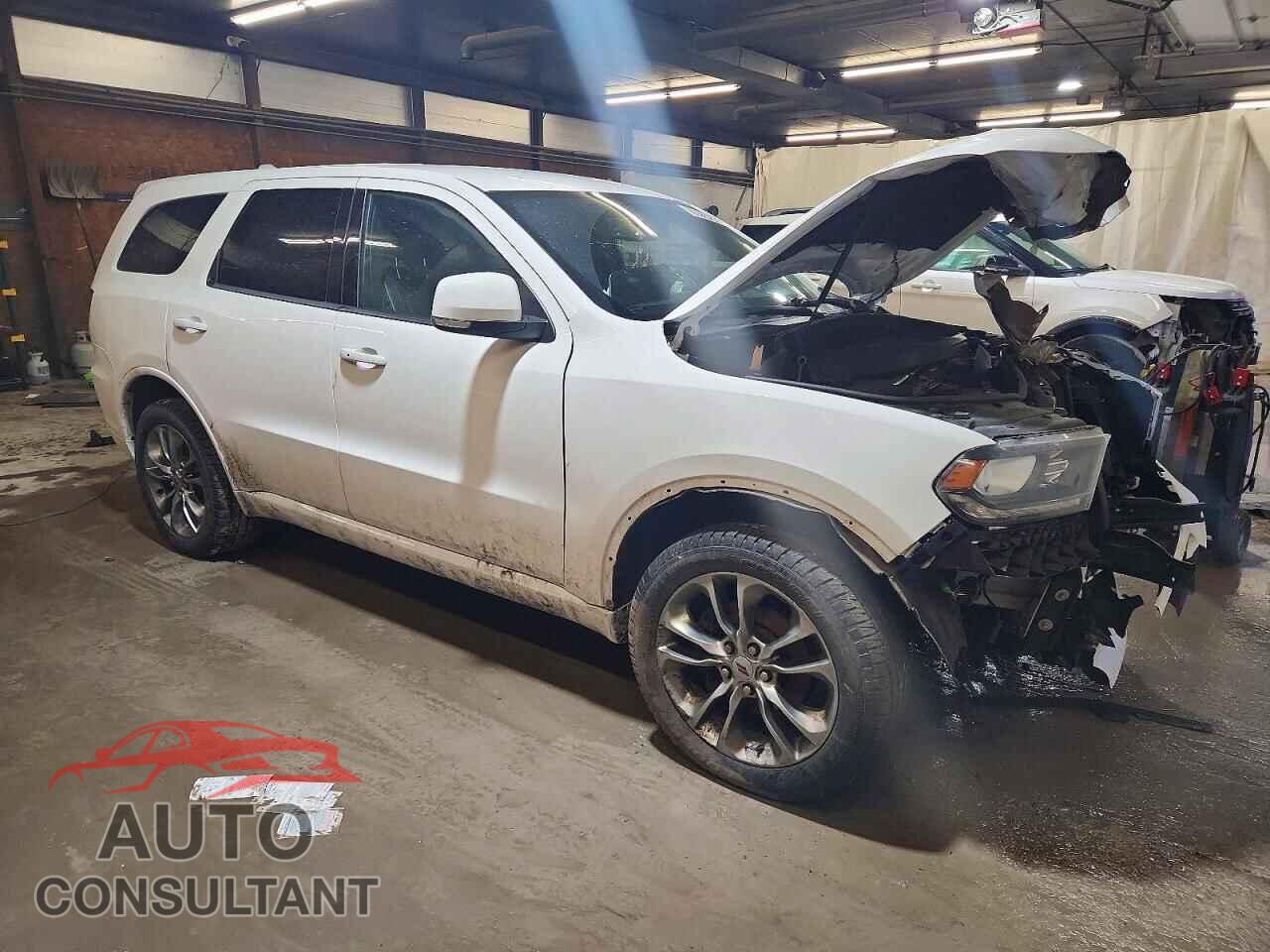 DODGE DURANGO 2019 - 1C4RDJDG3KC557365