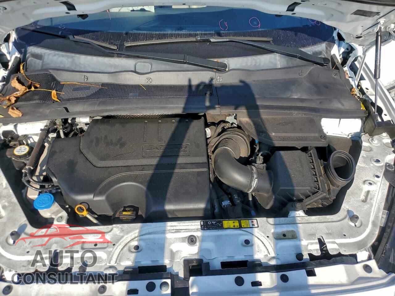 JAGUAR ETYPE 2020 - SADFP2FX8L1015306