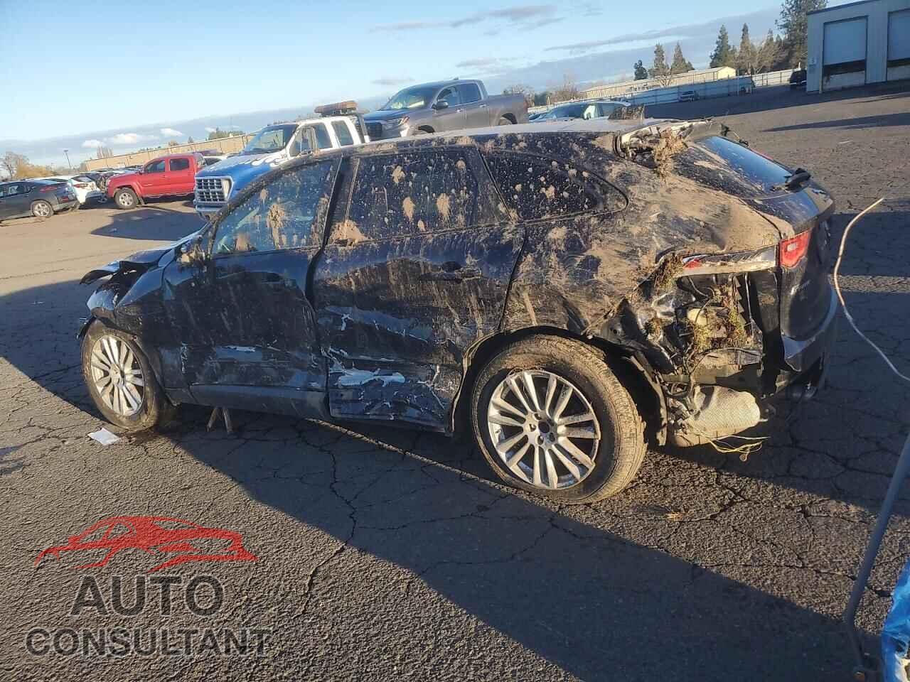 JAGUAR F-PACE 2020 - SADCK2FX2LA645940