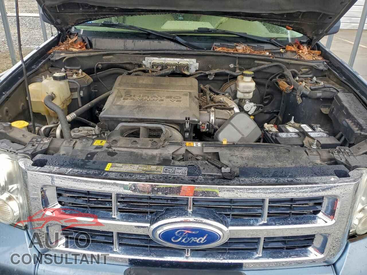 FORD ESCAPE 2012 - 1FMCU0DG2CKC00519