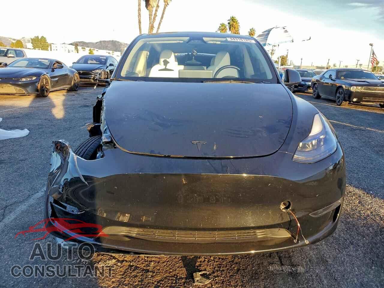 TESLA MODEL Y 2024 - 7SAYGDED7RF094249
