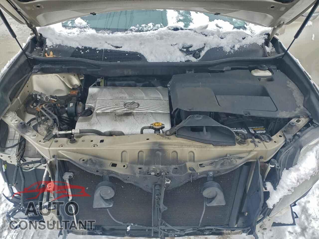 LEXUS RX350 2011 - 2T2BK1BAXBC083195